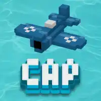 C.A.P