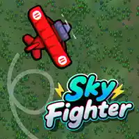 Sky Fighter